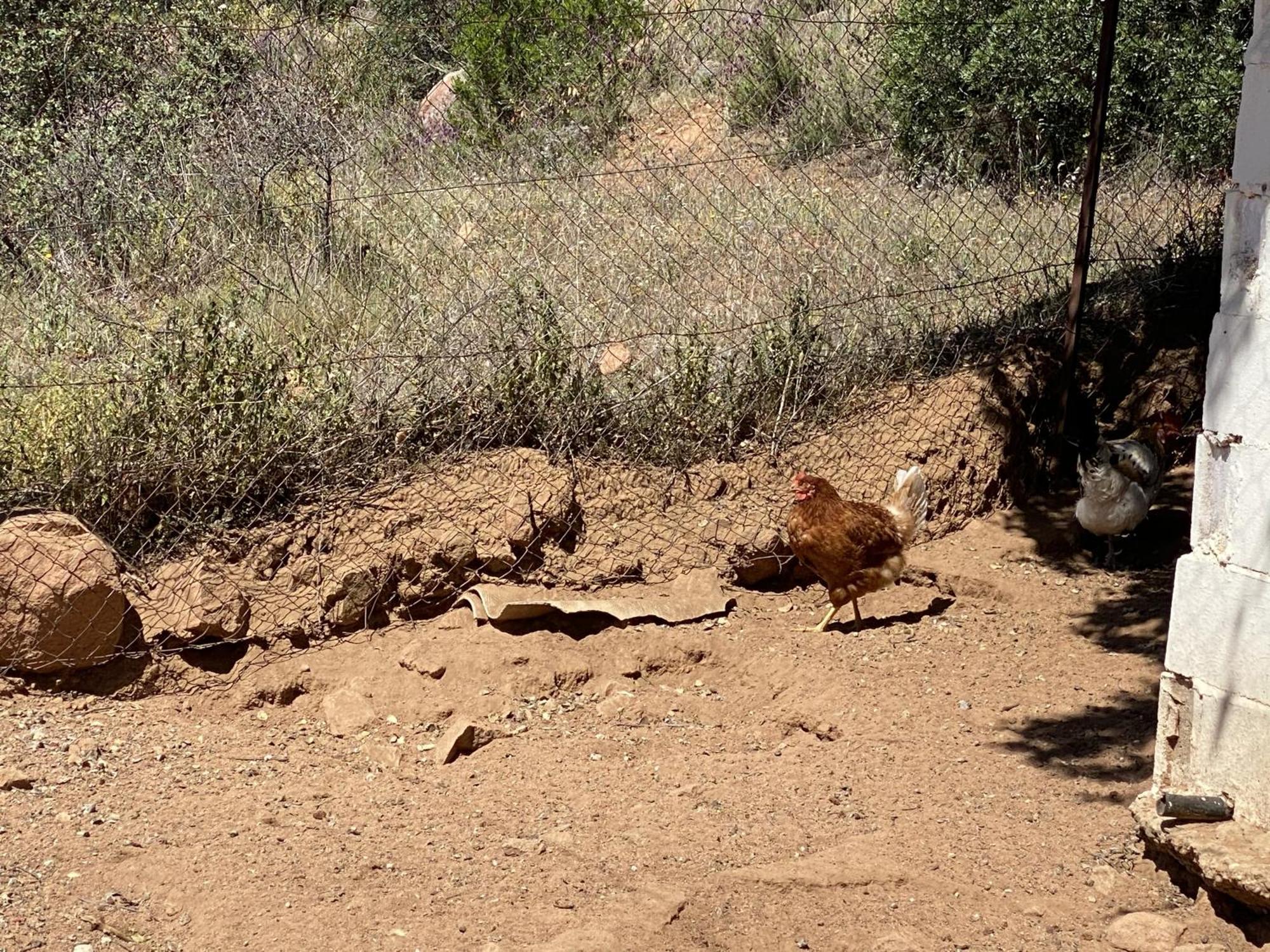 Villaviciosa de Córdoba Las Chorreras Del Orejon 2 מראה חיצוני תמונה