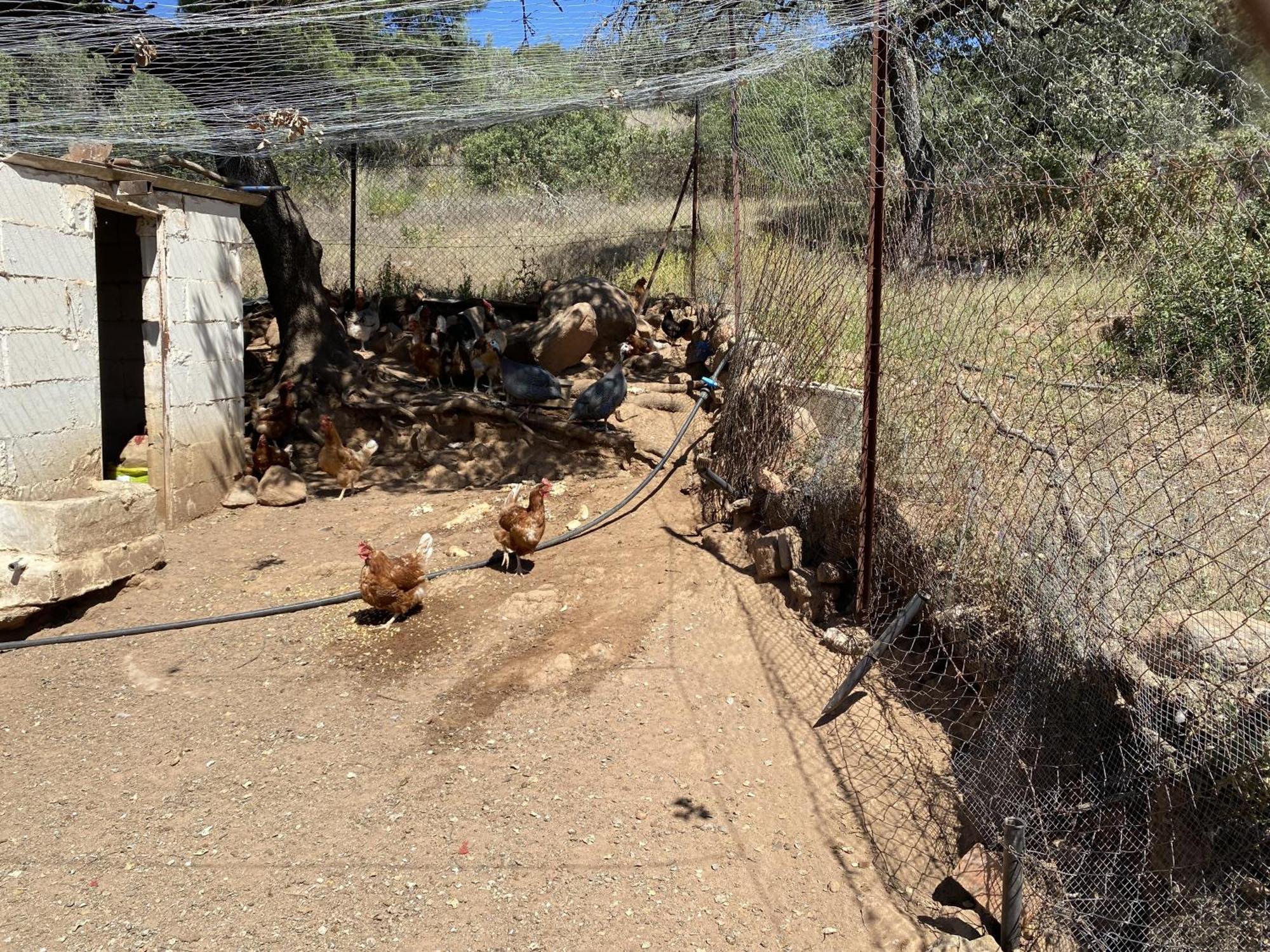 Villaviciosa de Córdoba Las Chorreras Del Orejon 2 מראה חיצוני תמונה