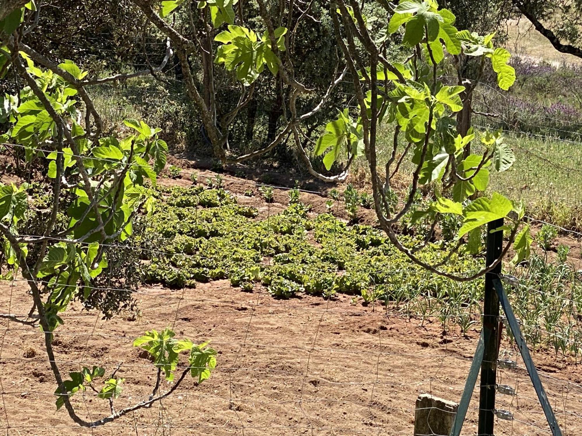 Villaviciosa de Córdoba Las Chorreras Del Orejon 2 מראה חיצוני תמונה